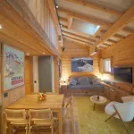 Warm Alpine 2br 5p - Lejlighed Megève