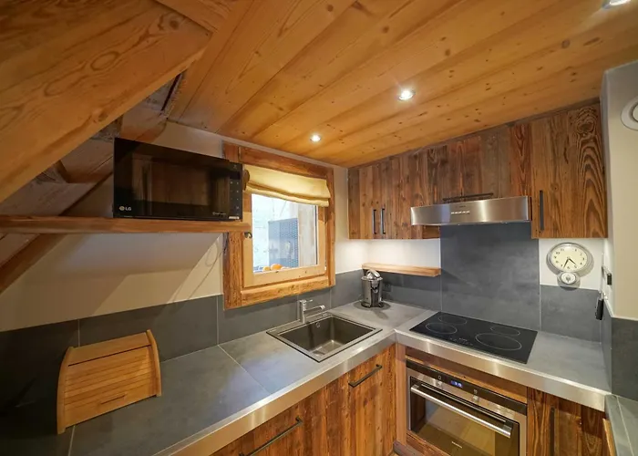 Warm Alpine 2br 5p - Lejlighed Megève